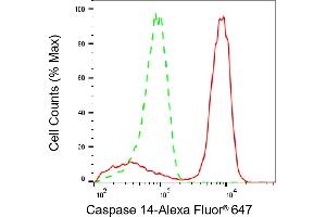 Flow cytometric analysis of Caspase 14 expression in HaCaT cells using Caspase 14 antibody (ABIN7797888), 1:2,000). (Recombinant CASP14 antibody)