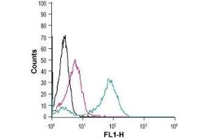 Cell surface detection of CD97/ADGRE5 in live intact human THP-1 monocytic leukemia cells: (black line) Cells. (ADGRE5 (AA 499-512), (Extracellular) antibody)