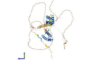 AlphaFold protein structure predicition of Human Recombinant POU3F1 Protein, UniprotID Q03052 (POU3F1 Protein (AA 1-451) (His tag))