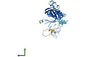 Protein Structure (PS) image for Purinergic Receptor P2x, Ligand-Gated Ion Channel, 3 (P2RX3) (AA 1-397) protein (His tag) (ABIN7557260)
