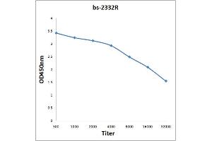 Antigen: 0. (DGAT1 antibody  (AA 251-350))