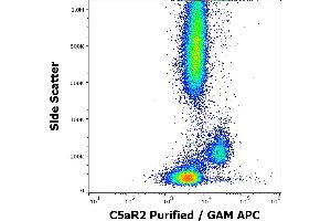 Flow cytometry surface staining pattern of human peripheral whole blood stained using anti-human C5aR2 (1D9-M12) Purified antibody (concentration in sample 5,0 μg/mL, GAM APC). (GPR77 antibody)