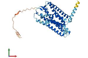 AlphaFold protein structure predicition of Human Recombinant OR4A15 Protein, UniprotID Q8NGL6 (OR4A15 Protein (AA 1-344) (His tag))
