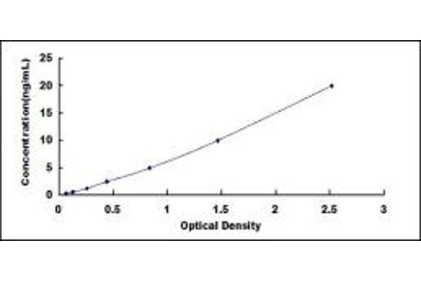 FMR1 ELISA Kit