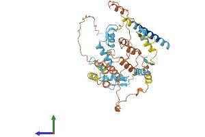 Protein Structure (PS) image for Zinc Finger Protein 161 Homolog (ZFP161) (AA 1-449) protein (His tag) (ABIN7545224)