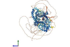AlphaFold protein structure predicition of Human Recombinant DISP2 Protein, UniprotID A7MBM2 (DISP2 Protein (AA 1-1401) (His tag))