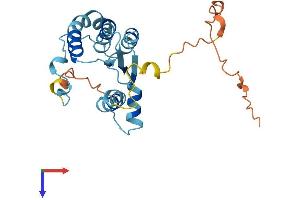 AlphaFold protein structure predicition of Human Recombinant TUBA4B Protein, UniprotID Q9H853 (TUBA4B Protein (AA 1-241) (His tag))