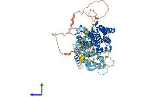 AlphaFold protein structure predicition of Mouse Recombinant Rasgrp2 Protein, UniprotID Q9QUG9