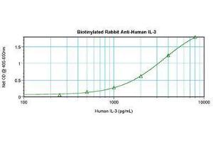 Image no. 2 for anti-Interleukin 3 (IL-3) antibody (Biotin) (ABIN465198) (IL-3 antibody  (Biotin))