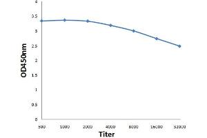 Antigen: 0. (AMPK gamma 1/2/3 (AA 280-330) antibody)