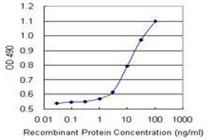 Sandwich ELISA detection sensitivity ranging from 1 ng/mL to 100 ng/mL. (FGF21 (Human) Matched Antibody Pair)
