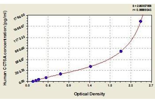 CCT6A ELISA Kit