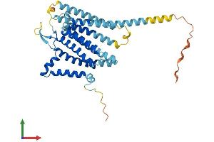 Protein Structure (PS) image for Translocation Associated Membrane Protein 1-Like 1 (TRAM1L1) (AA 1-363) protein (His tag) (ABIN7559593)