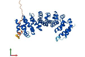 Protein Structure (PS) image for Rhabdoid Tumor Deletion Region Gene 1 (RTDR1) (AA 1-348) protein (His tag) (ABIN7551578)