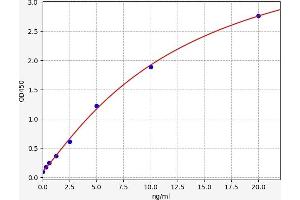 Typical standard curve (MFAP4 ELISA Kit)