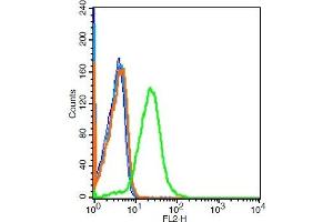 Mouse kidney cells probed with 	GPR110 Polyclonal Antibody, Unconjugated  at 1:100 for 30 minutes followed by incubation with a conjugated secondary -PE) (green) for 30 minutes compared to control cells (blue), secondary only (light blue) and isotype control (orange). (G Protein-Coupled Receptor 110 antibody  (AA 51-150))