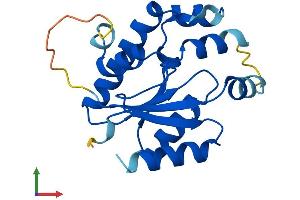 AlphaFold protein structure predicition of Human Recombinant IDNK Protein, UniprotID Q5T6J7 (IdnK Protein (AA 1-187) (His tag))