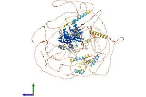 Protein Structure (PS) image for Period Homolog 1 (Drosophila) (PER1) (AA 1-1291) protein (His tag) (ABIN7562396)