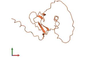 AlphaFold protein structure predicition of Human Recombinant LINC00574 Protein, UniprotID Q9H8X3 (C6orf208 Protein (AA 1-128) (His tag))