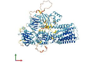 AlphaFold protein structure predicition of Human Recombinant ATP13A2 Protein, UniprotID Q9NQ11 (ATP13A2 Protein (AA 1-1180) (His tag))