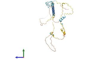 AlphaFold protein structure predicition of Human Recombinant LDLRAD4 Protein, UniprotID O15165