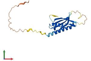 Protein Structure (PS) image for DNA-Damage-Inducible Transcript 4-Like (DDIT4L) (AA 1-193) protein (His tag) (ABIN7559940)