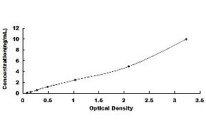 Typical standard curve (Corneodesmosin ELISA Kit)