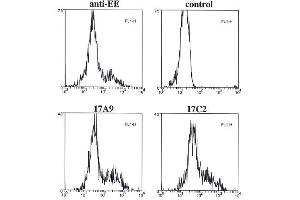 Flow cytometry data of overexpressed EE-tagged Bmf in 293T cells, fixed with 1% PFA, permeabilized with saponin and stained intracellularly with anti-Bmf (mouse/rat), mAb (17A9) , control or positive control anti-EE. (BMF antibody  (AA 13-27, AA 112-126))