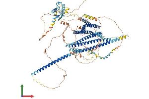 AlphaFold protein structure predicition of Mouse Recombinant Jmy Protein, UniprotID Q9QXM1