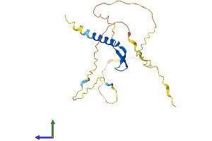 AlphaFold protein structure predicition of Mouse Recombinant Bcl7b Protein, UniprotID Q921K9 (BCL7B Protein (AA 1-202) (His tag))