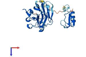 Neuralized E3 Ubiquitin Protein Ligase 3 (NEURL3) (AA 1-254) protein (His tag)
