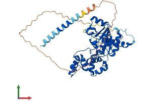 AlphaFold protein structure predicition of Mouse Recombinant Chst9 Protein, UniprotID Q76EC5