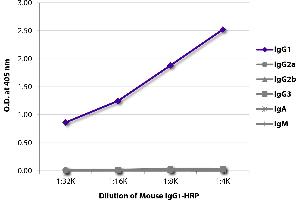 ELISA plate was coated with Goat Anti-Mouse IgG1, Human ads-UNLB was captured and quantified.