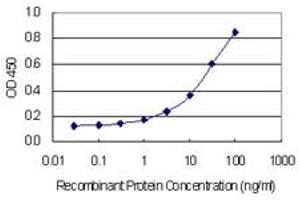 Detection limit for recombinant GST tagged FIGN is 0. (Fidgetin antibody  (AA 77-170))