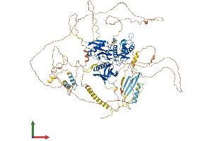AlphaFold protein structure predicition of Human Recombinant EPB41L3 Protein, UniprotID Q9Y2J2