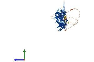 AlphaFold protein structure predicition of Human Recombinant EXOC7 Protein, UniprotID Q9UPT5