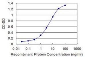 Detection limit for recombinant GST tagged CCRK is 0. (CCRK antibody  (AA 183-257))