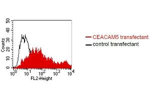 FACS analysis of BOSC23 cells using 26/5/1.