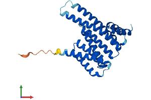 AlphaFold protein structure predicition of Human Recombinant SFN Protein, UniprotID P31947