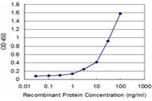 Detection limit for recombinant GST tagged FH is approximately 1ng/ml as a capture antibody. (FH antibody  (AA 33-510))