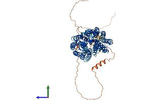 AlphaFold protein structure predicition of Mouse Recombinant Flvcr1 Protein, UniprotID B2RXV4 (FLVCR Protein (AA 1-560) (His tag))
