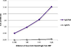 ELISA plate was coated with purified rabbit IgG Fab and IgG Fc. (Goat anti-Rabbit IgG (Fab Region) Antibody)