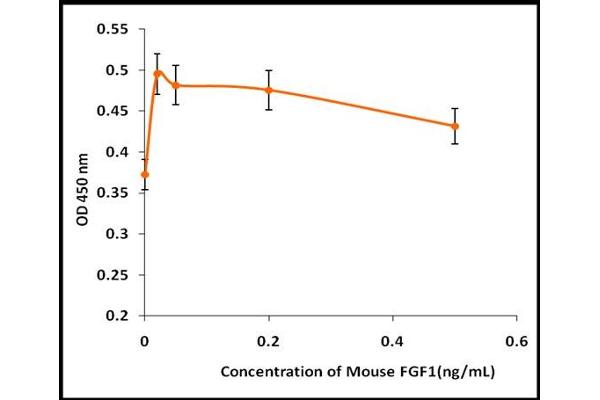 FGF1 Protein