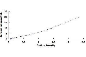 Typical standard curve (FABP1 ELISA Kit)