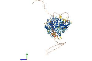Protein Structure (PS) image for Ribosomal Protein S6 Kinase, 90kDa, Polypeptide 5 (RPS6KA5) (AA 1-802) protein (His tag) (ABIN7554387)