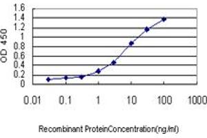 Detection limit for recombinant GST tagged HBB is approximately 0. (Hemoglobin Subunit beta antibody  (AA 38-147))