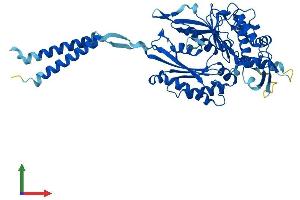 Protein Structure (PS) image for Ectonucleoside Triphosphate diphosphohydrolase 8 (ENTPD8) (AA 1-497) protein (His tag) (ABIN7559438)