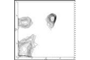 Image no. 1 for anti-CD4 (CD4) antibody (FITC) (ABIN474077) (CD4 antibody  (FITC))