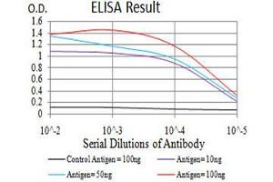 Black line: Control Antigen (100 ng),Purple line: Antigen (10 ng), Blue line: Antigen (50 ng), Red line:Antigen (100 ng) (RAD50 antibody  (AA 228-359))