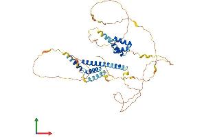 Protein Structure (PS) image for Meis Homeobox 2 (MEIS2) (AA 1-477) protein (His tag) (ABIN7563544)